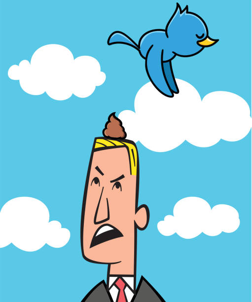 Cartoon Of Bird Droppings Illustrations, Royalty-Free Vector Graphics &  Clip Art - iStock
