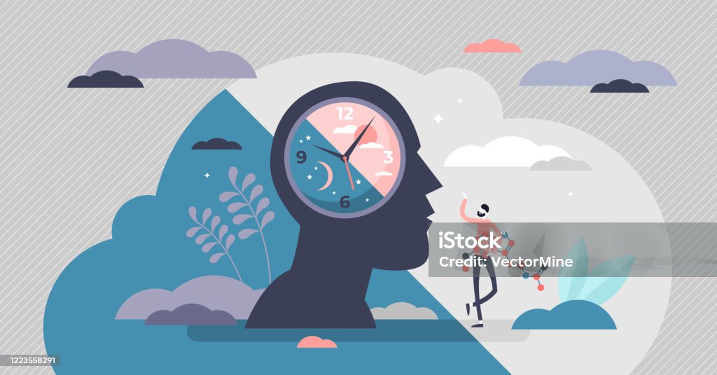 Circadian rhythm concept vector illustration Circadian rhythm concept, tiny person vector illustration. Day and night cycle scheme. Daily human body inner regulation schedule. Natural sleep-wake biological process. Abstract head with a clock. Rhythm stock vector