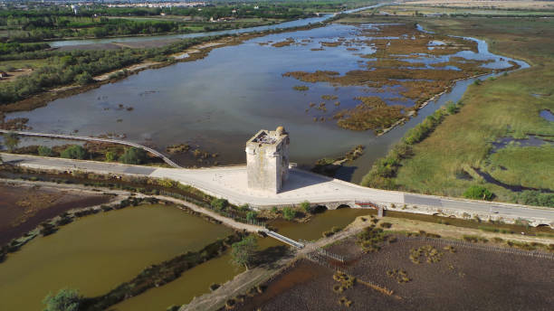 la tout carbonnière à aigues-mortes dans le gard occitannie - tout photos et images de collection