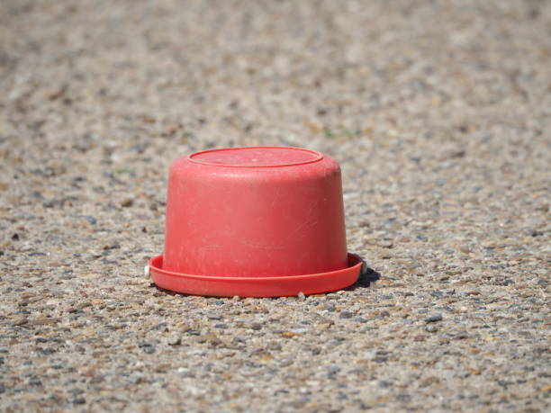 istock Lost property in the park 1223564836