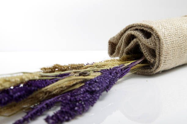 istock Dried Foxtail millet isolated 1223568568