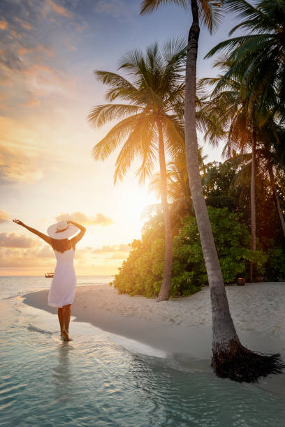 istock A woman with hat stands under palm trees on a exotic beach during sunset time 1223569359