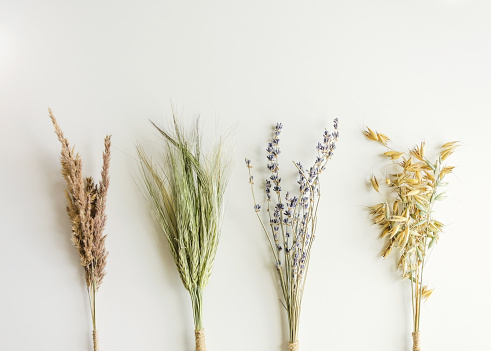 Rye, oats, lavender, decorative grass in bouquets lies on a white horizontal background. Copy space, isolated background