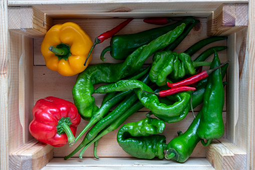 various fresh peppers