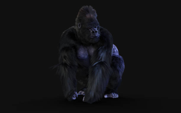 istock 3d Illustration of a silverback gorilla on dark background with clipping path. 1223570915