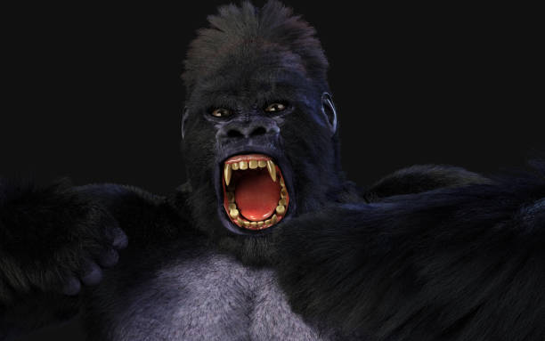 ilustración 3d de un gorila plateado sobre fondo oscuro con camino de recorte. - gorilla endangered species large isolated fotografías e imágenes de stock