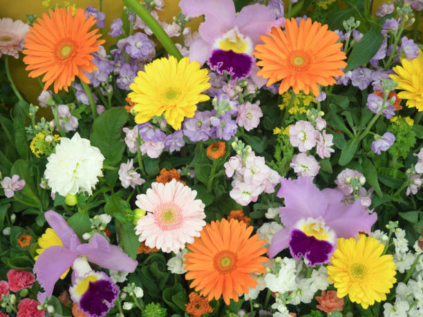 istock Colorful flower arrangements 1223577563