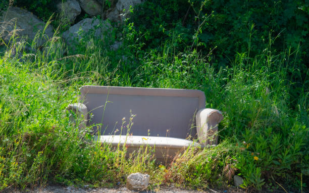istock abandoned sofa in the wild 1223577629