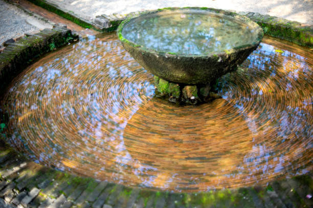 vue de l’ancien bassin de fontaine avec des algues vertes - water surface emotional stress shape nature photos et images de collection