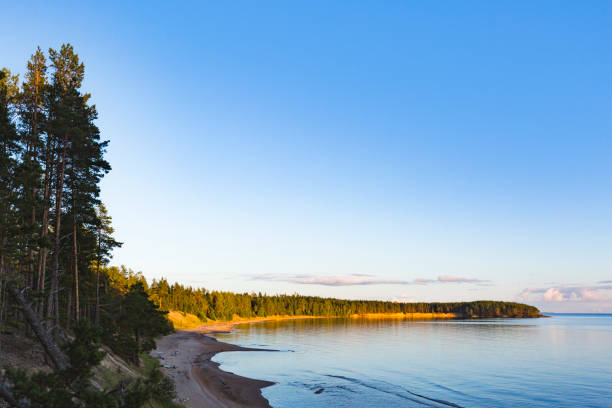 istock Onega Lake shore landscape. Karelia, Russia 1223581400