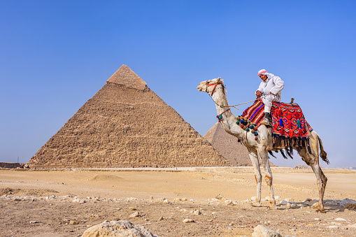 Bedouin riding on camel, pyramid on the background, Giza, Egypt.