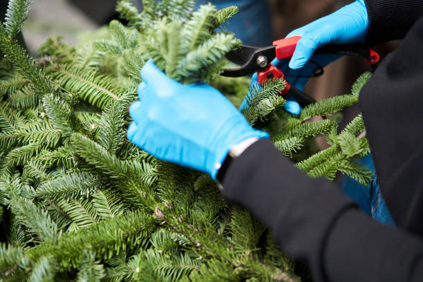 istock A woman decorates a Christmas arrangement. Master class on making decorative ornaments. Christmas decor with their own hands. The new year celebration. Flower shop 1223582864