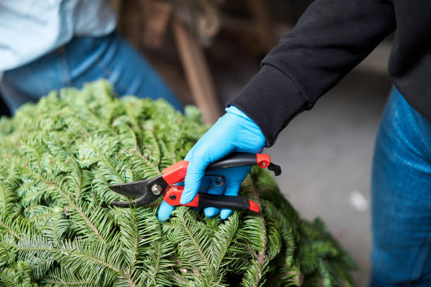 istock A woman decorates a Christmas arrangement. Master class on making decorative ornaments. Christmas decor with their own hands. The new year celebration. Flower shop 1223582878