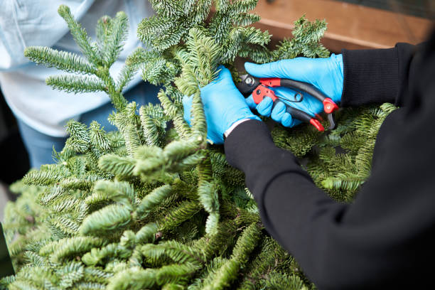 istock A woman decorates a Christmas arrangement. Master class on making decorative ornaments. Christmas decor with their own hands. The new year celebration. Flower shop 1223582885