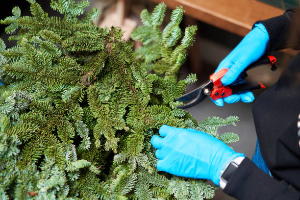istock A woman decorates a Christmas arrangement. Master class on making decorative ornaments. Christmas decor with their own hands. The new year celebration. Flower shop 1223582909