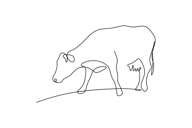 illustrazioni stock, clip art, cartoni animati e icone di tendenza di vacca al pascolo - animals feeding illustrations
