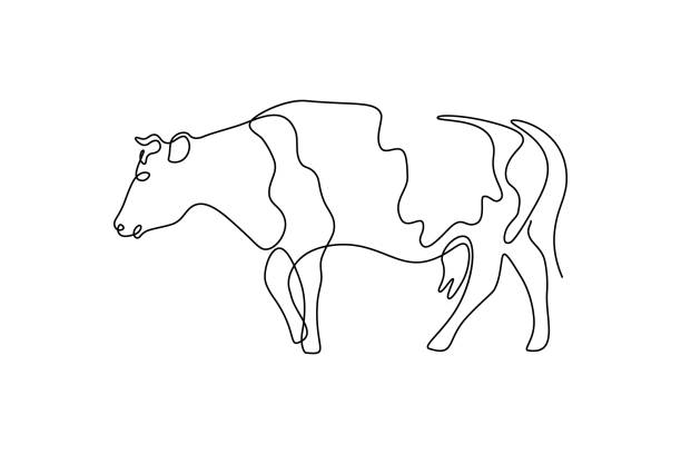 Walking cow Cow in continuous line art drawing style. Spotted cow walking minimalist black linear sketch isolated on white background. Vector illustration cow clipart stock illustrations