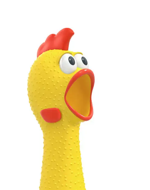Photo of Surprised rubber chicken, chiken head close up isolated on white