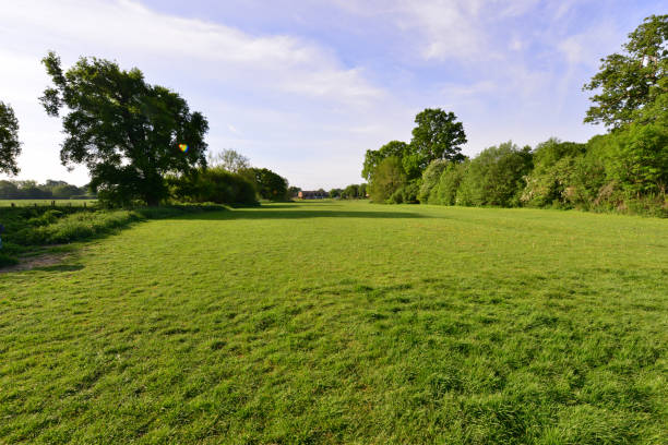 istock Emlyn Meadows in Horley, Surrey. 1223587142