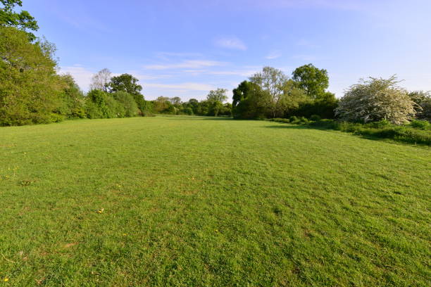 istock Emlyn Meadows in Horley, Surrey. 1223587795