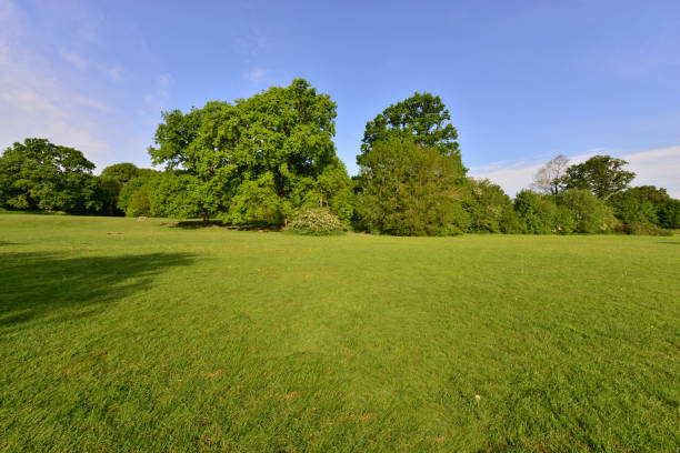 istock Emlyn Meadows in Horley, Surrey. 1223588356