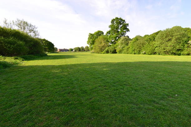 istock Emlyn Meadows in Horley, Surrey. 1223588432