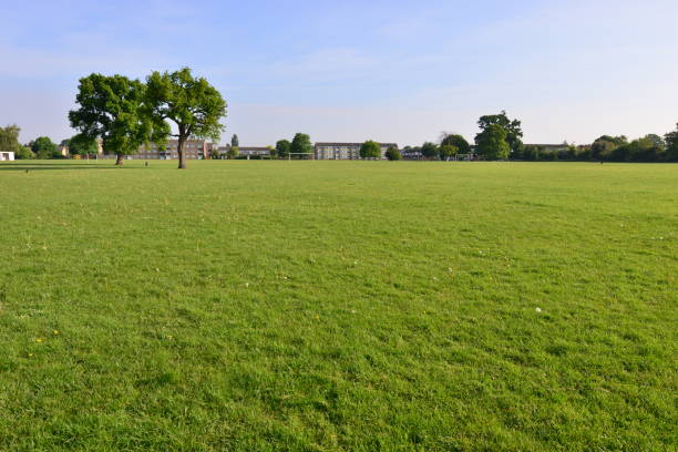 istock large playing field in Horley, Surrey in Springtime. 1223588947