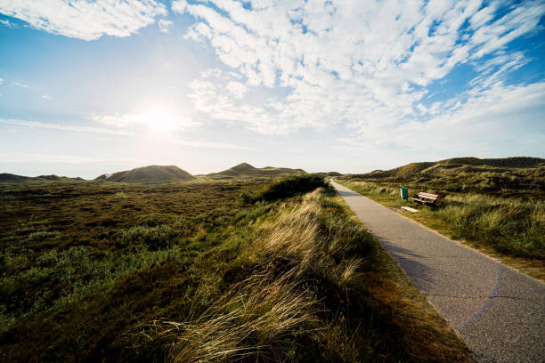 Panoramic landscape view of preserved nature. Paved tourist walkaway with rest place in nature reserve. Sunny summer day before sunset. Summer vacation concept.