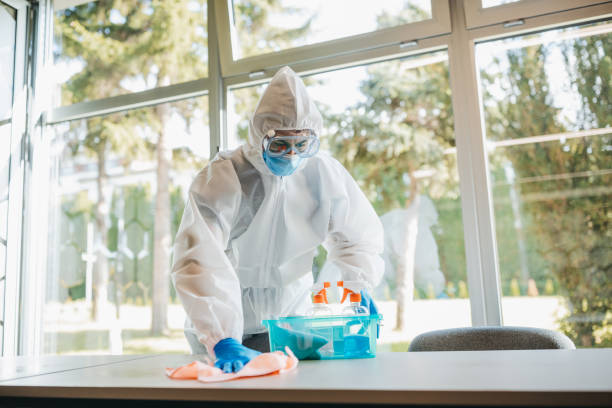 istock Cleaning and disinfecting office 1223589975