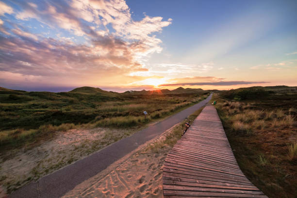istock Sundown over dense green bush on coastal dunes with boardwalk 1223590006