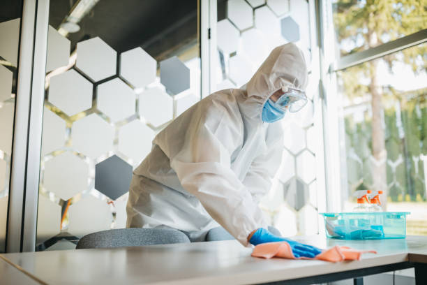 istock Cleaning and disinfecting office 1223590115