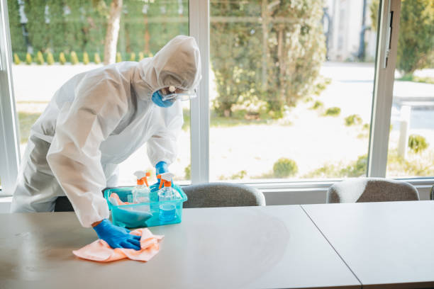 istock Cleaning and disinfecting office 1223590187
