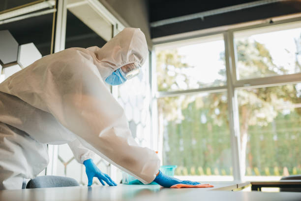 istock Cleaning and disinfecting office 1223590365