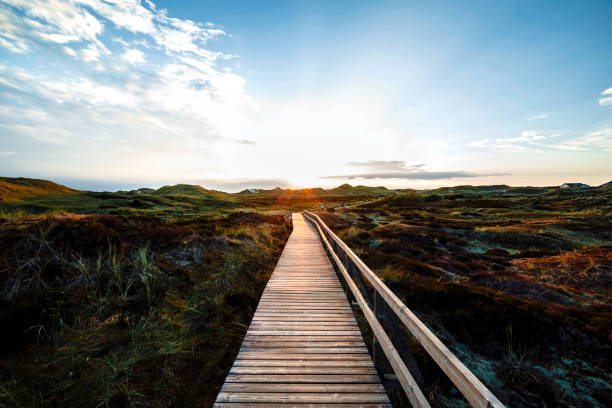 istock Colorful view of seaside landscape before sunset. 1223590621