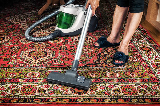istock housewife vacuuming carpet 1223593802