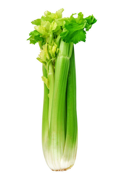 ramoscello di sedano crudo su bianco - celery leaf celeriac isolated foto e immagini stock