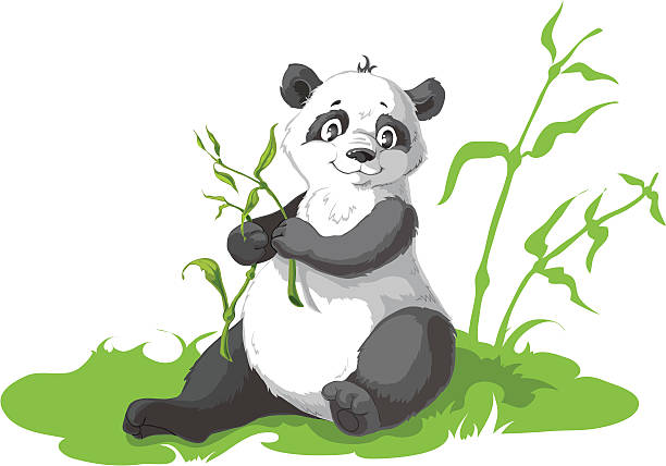 ilustrações, clipart, desenhos animados e ícones de panda bear. - bamboo bamboo shoot green isolated