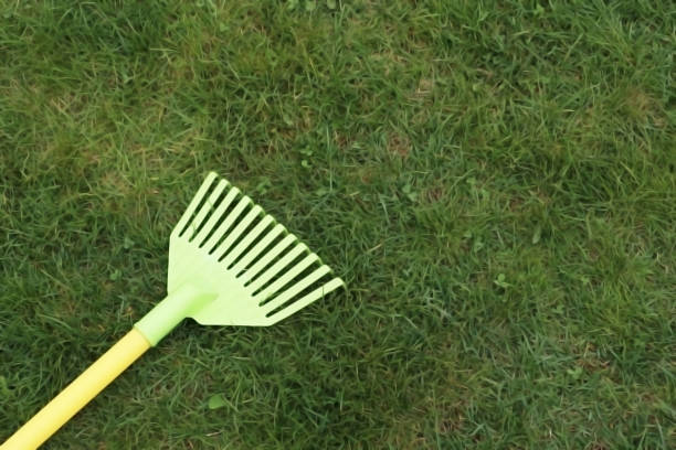istock children's rake on green grass 1223595649