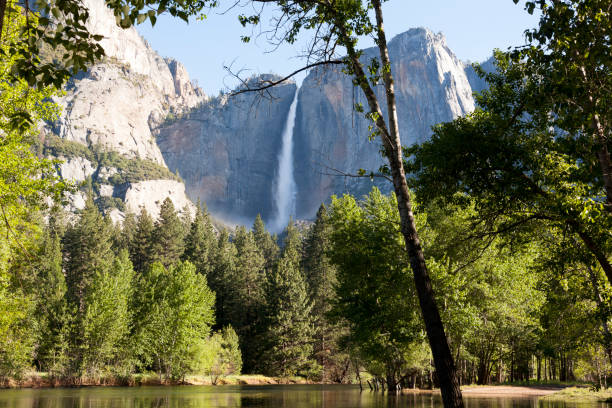 istock Yosemite National Park 1223595789