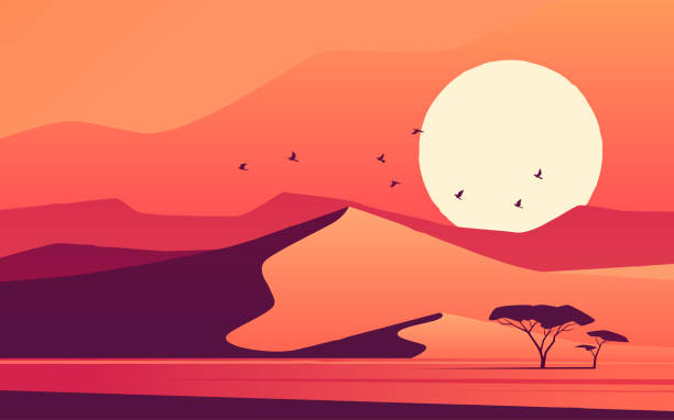 ilustrações, clipart, desenhos animados e ícones de pôr do sol vívido sobre as dunas do deserto africano. ilustração vetorial - sparse sky sunlight africa