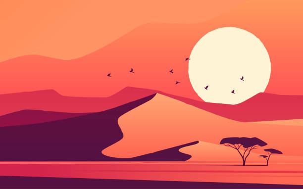 Vivid sunset over the african desert dunes. Vector illustration Vivid sunset over the african desert dunes. Vector illustration. desert safari stock illustrations