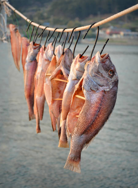 pescado seco - pescado secado fotografías e imágenes de stock