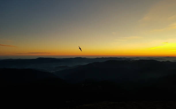 istock Beautiful view of the horizon from a mountain peak 1223599764