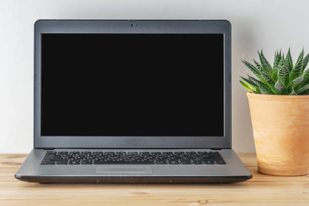 istock Laptop on a wooden table with a cactus plant. Home office concept. 1223601220