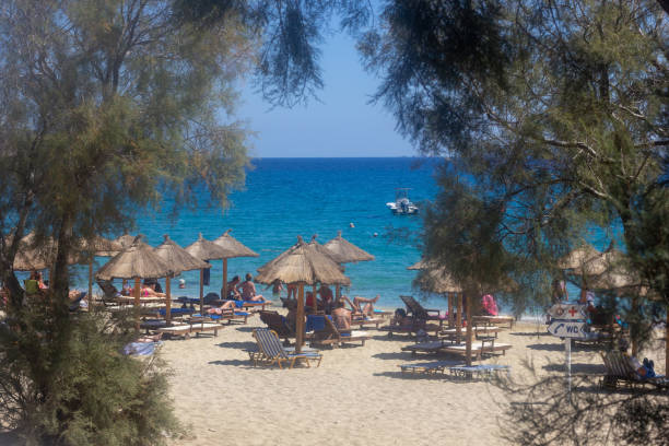 kalafatis beach em mykonos, grécia - tree large group of people sand sunbathing - fotografias e filmes do acervo