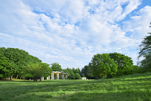A park with lush vegetation, clouds and blue sky