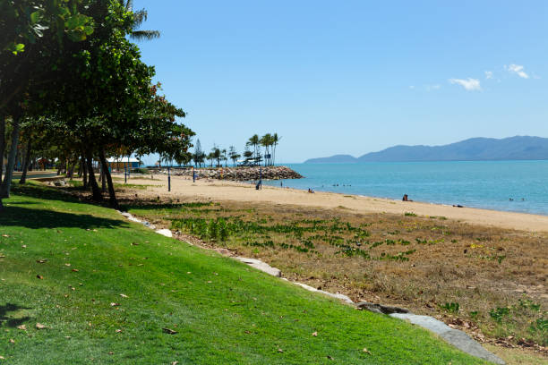 istock The Strand beach Townsville Australia 1223604703