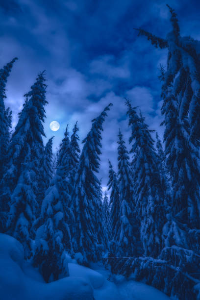 istock Full moon in a sky over the spruce forest covered with fresh snow 1223604843