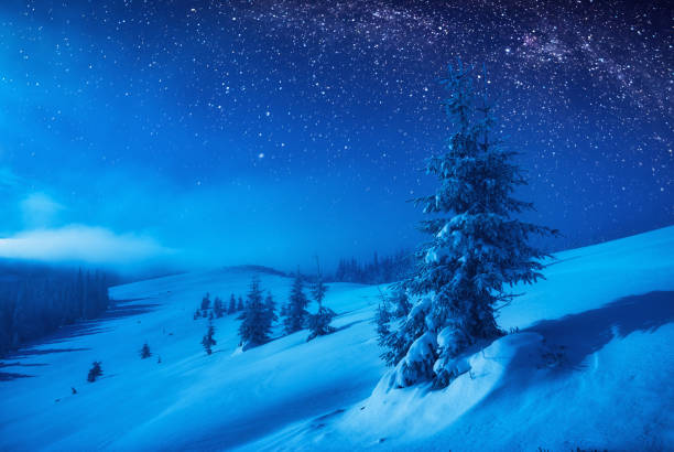 istock Mountain valley covered with fresh snow in a moonlight 1223605479