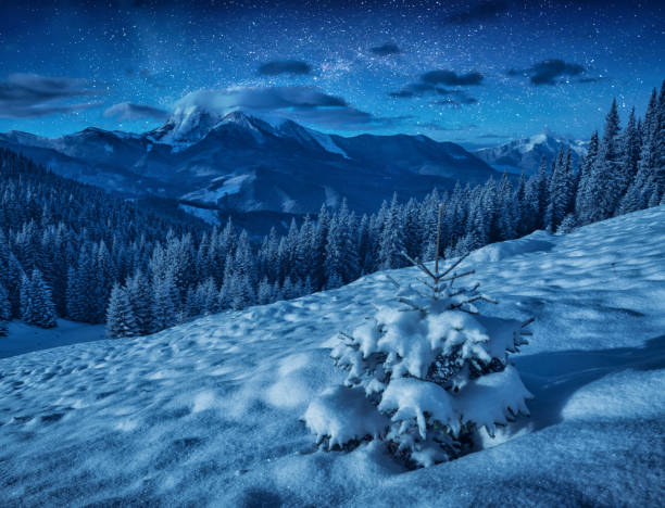 istock Mountains in a light of rising moon 1223605480
